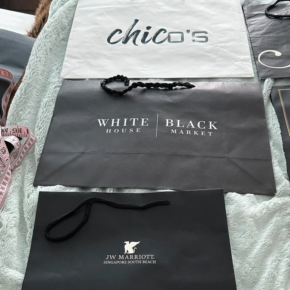 10 Assorted Empty Brand Shopping Bags